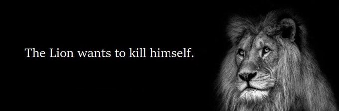 Thybo (@thybouk) on Twitter photo 
