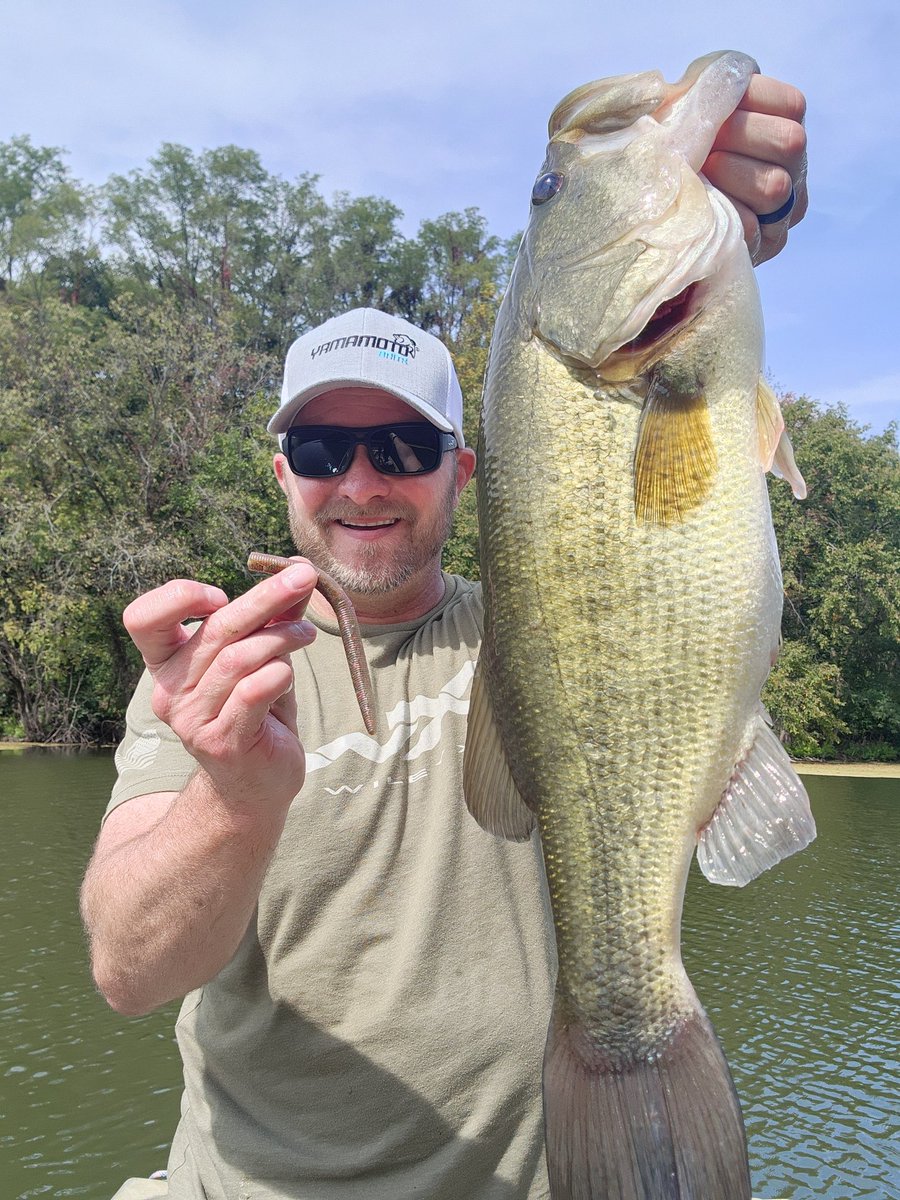 After all of these years, I still love throwing a @yamamoto_fishing Senko.

#bassmaster #BagwellFishing #fishing #bassfishing #wileyx