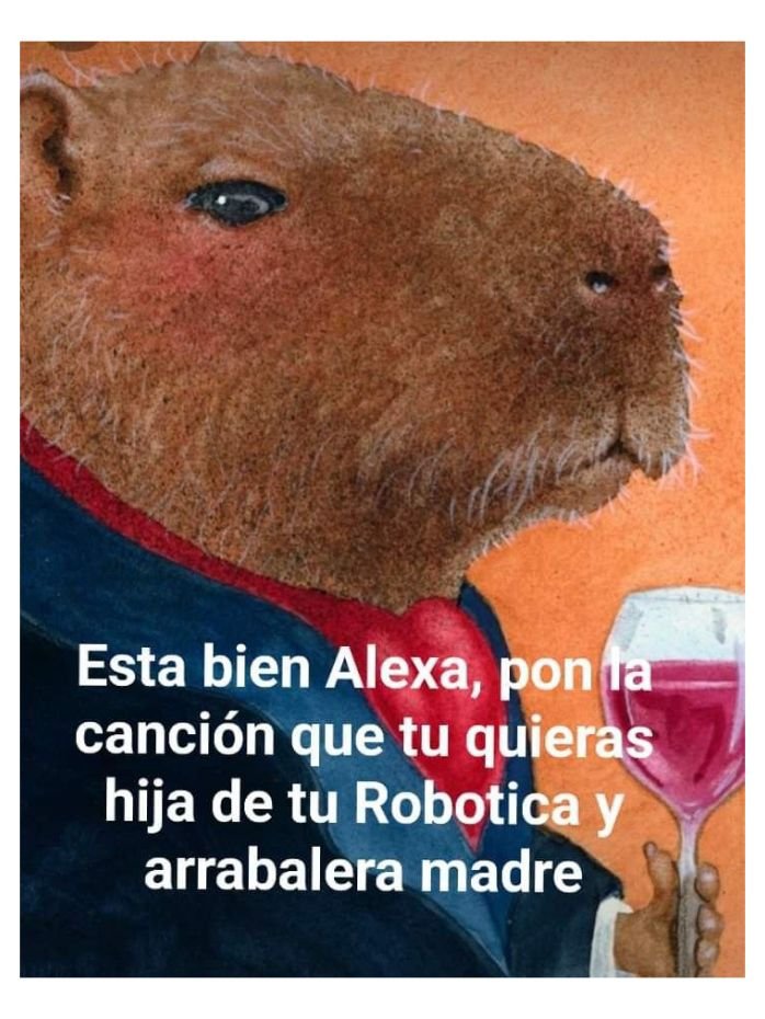 🇲🇽 México Mágico ✨ (@enmexicomagico) on Twitter photo 