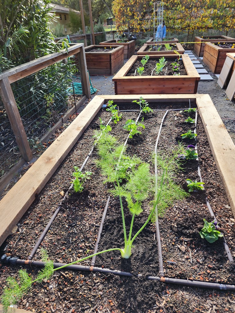 Laura Bassett tweet media