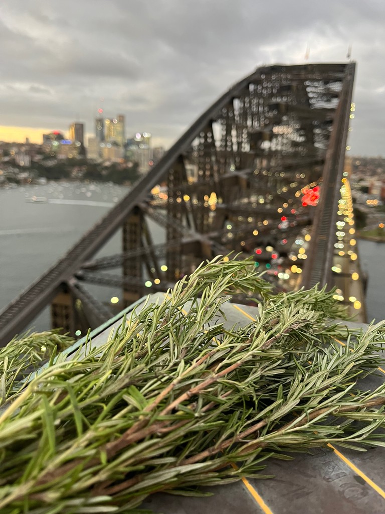 On this ANZAC Day, we take time to honour the brave men and women who have served, and continue to serve, our country. Your courage, sacrifice, and the strength of your families are etched into the heart of our nation. You are the soul of Australia.

Lest we forget. 🇦🇺

LM