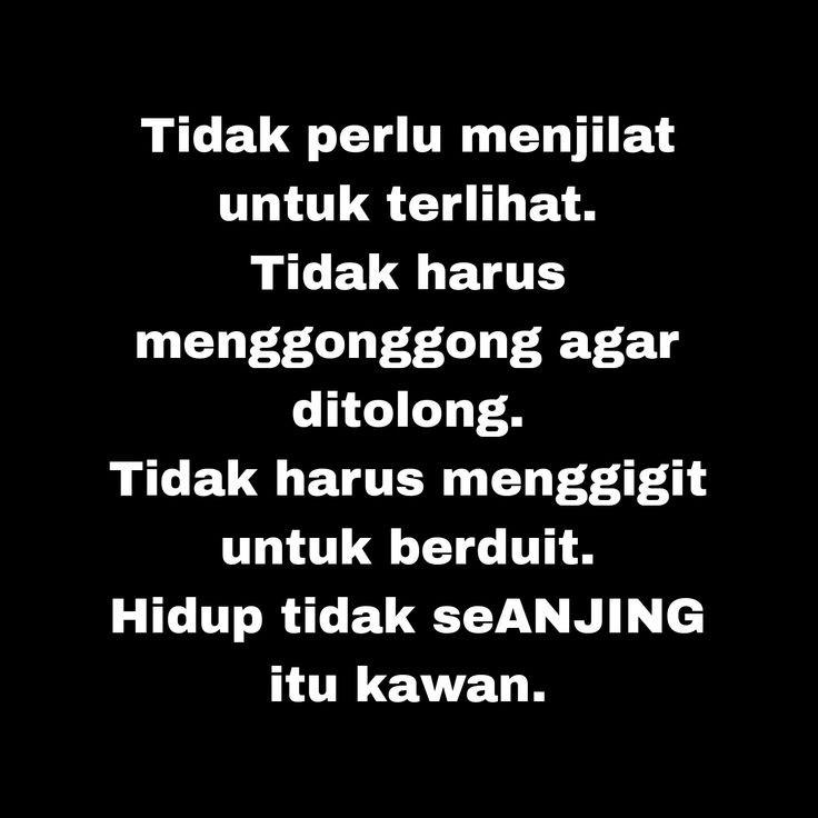 ★ 𝘼 𝙇 𝙀 𝙓 𝘼 ★ tweet media