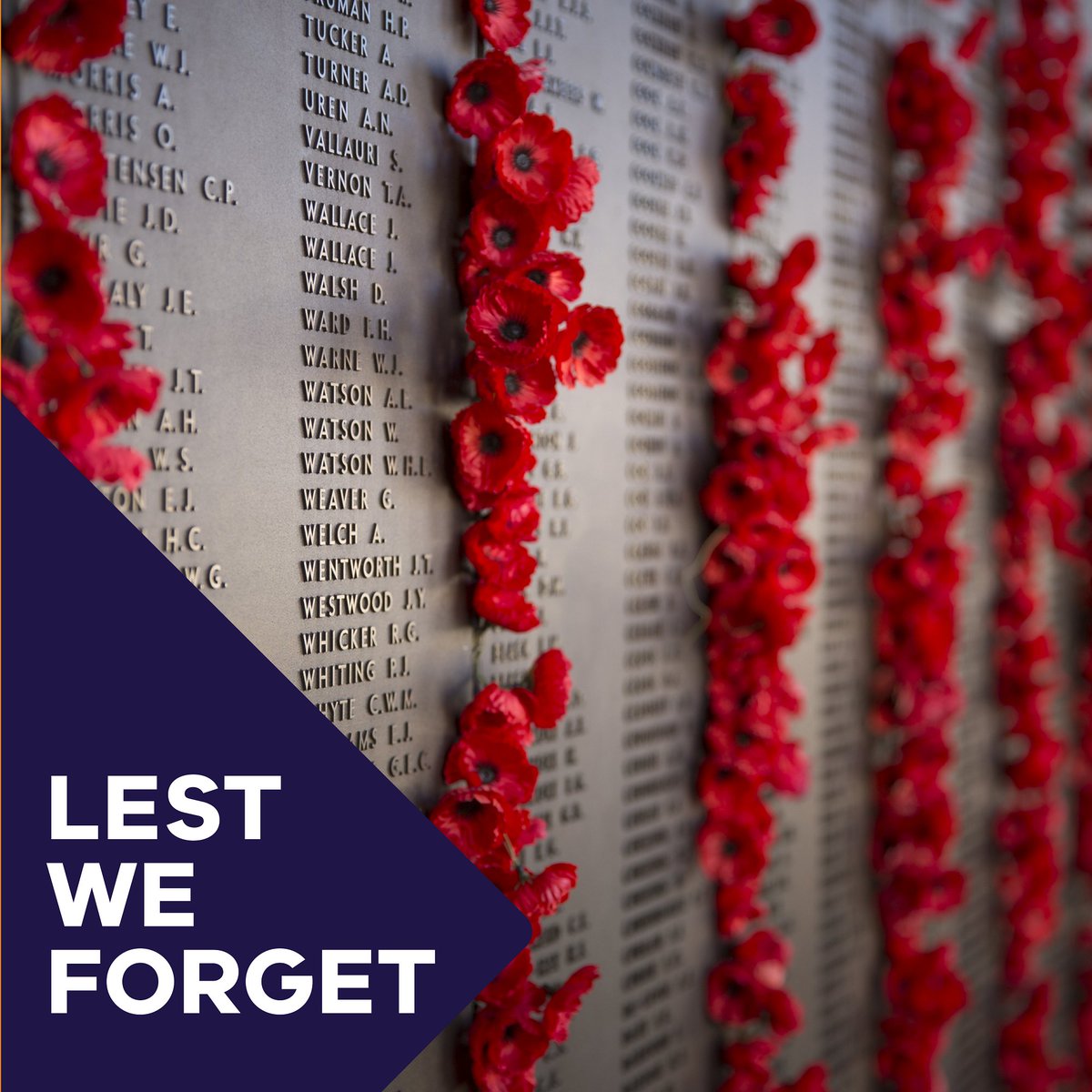 They shall grow not old, as we that are left grow old;
Age shall not weary them, nor the years condemn.
At the going down of the sun and in the morning
We will remember them.
Lest we forget.

#ANZACDay #LestWeForget
