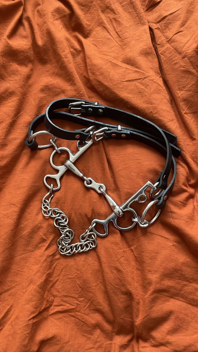 mistressaverry's tweet photo. My new toys https://t.co/qEPlG9ZIFi