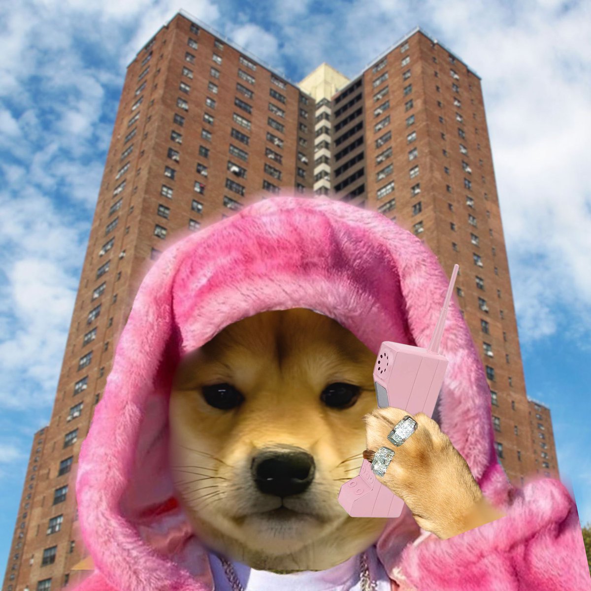 <a href="/innoutburger_/">ᶠᵃⁿ In-N-Out Burgers</a> make the call