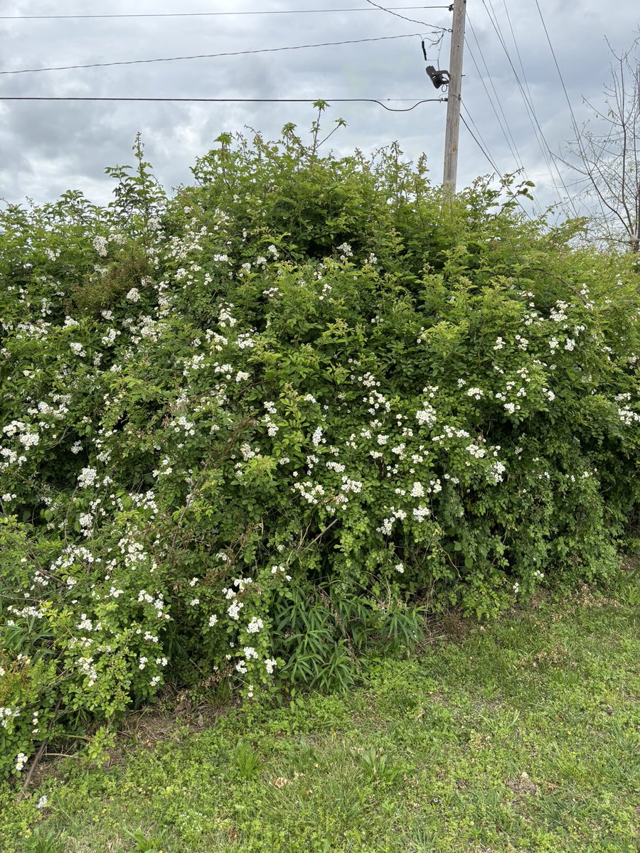 VikingRoverBot's tweet photo. Find beauty. Stop. Breath. Accept the beauty. Break from your routines. Appreciate life. 

My brand new goal. Add timers to detach from digital devices. 20 minutes 4 times daily to start. See what happens. https://t.co/gIZBpyrMMw