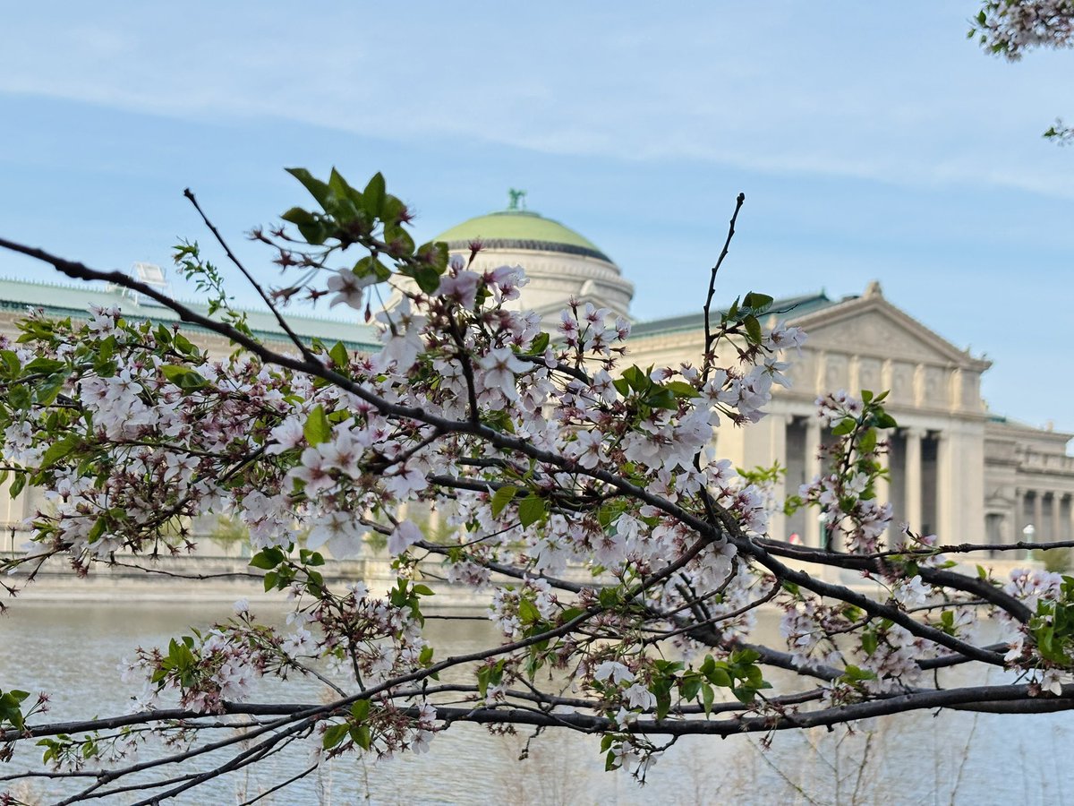 emily north tweet media