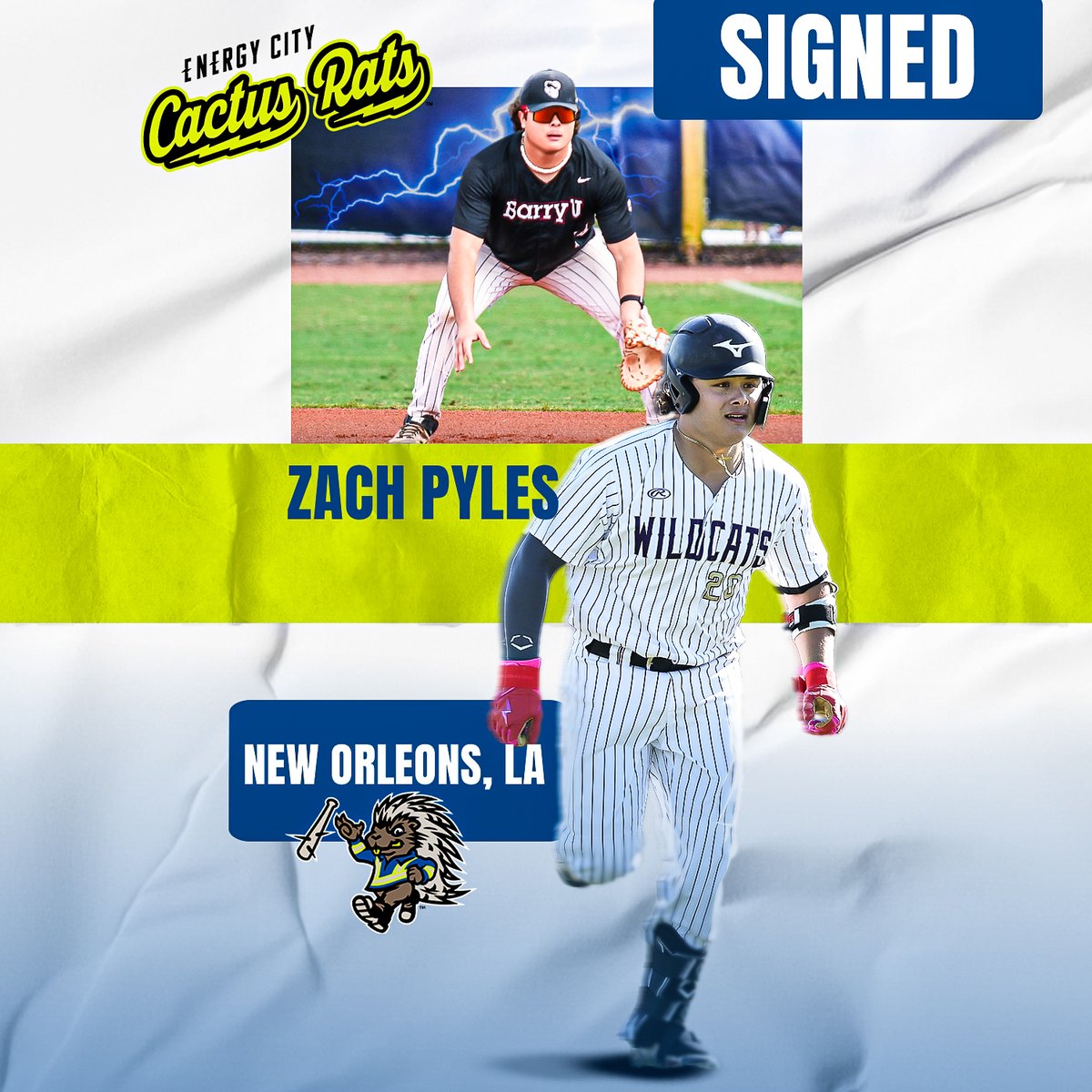 eccactusrats's tweet photo. 🚨 Player Signing Alert 🚨
Welcome to the Cactus Rats, Zach Pyles!
📝 SIGNED for the 2025 WCBL season
🔥 IF | New Orleans, LA | Barry University

Let’s go, Zach, ready to mash this summer!
#CactusRats #WCBL #MiddleOfTheOrder #WelcomeZach @Zac883227539 https://t.co/UhryRe8tHt