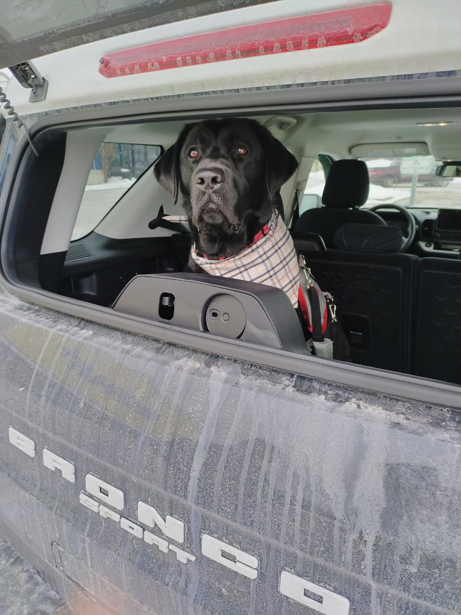 Off Season Adventures: 
  Our famiy will like to invite VERT ' 
aka VER'BEAR to our family. 
Keegster has been awarded a Autism Dog Services 🐕.  So blessed to been working for years for this chapter.  See you this season <a href="/TorontoArgos/">Toronto Argonauts</a>. <a href="/CFL/">CFL</a> 🏈