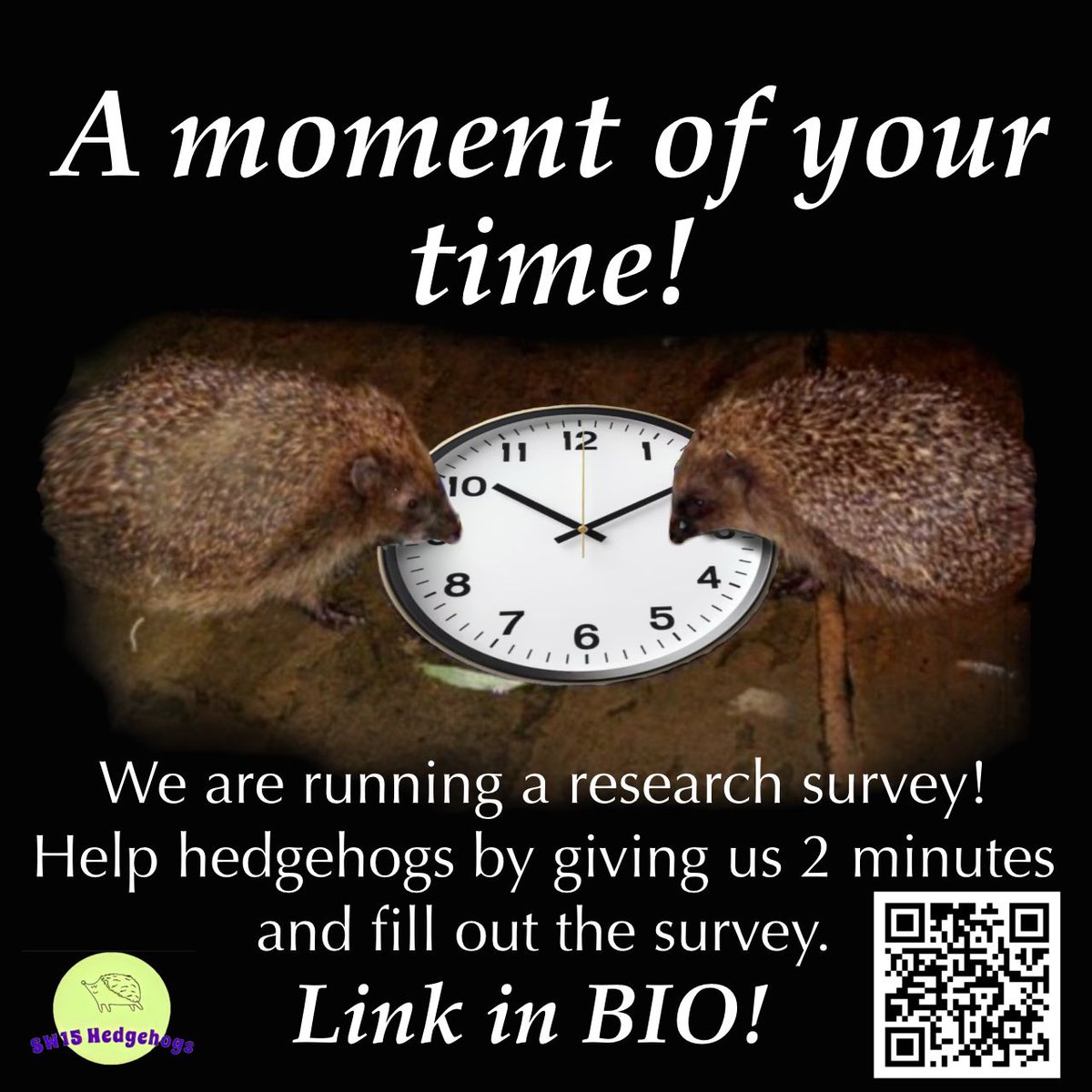 SW15 Hedgehogs tweet media