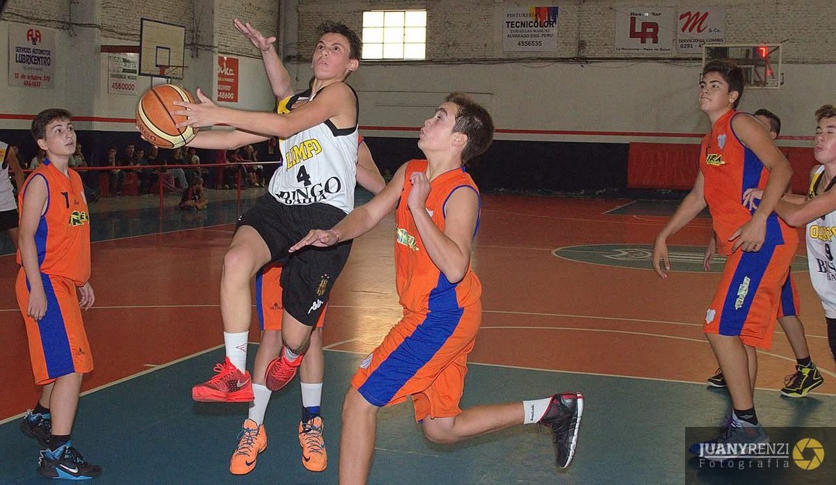 Club Olimpo Basquet tweet media