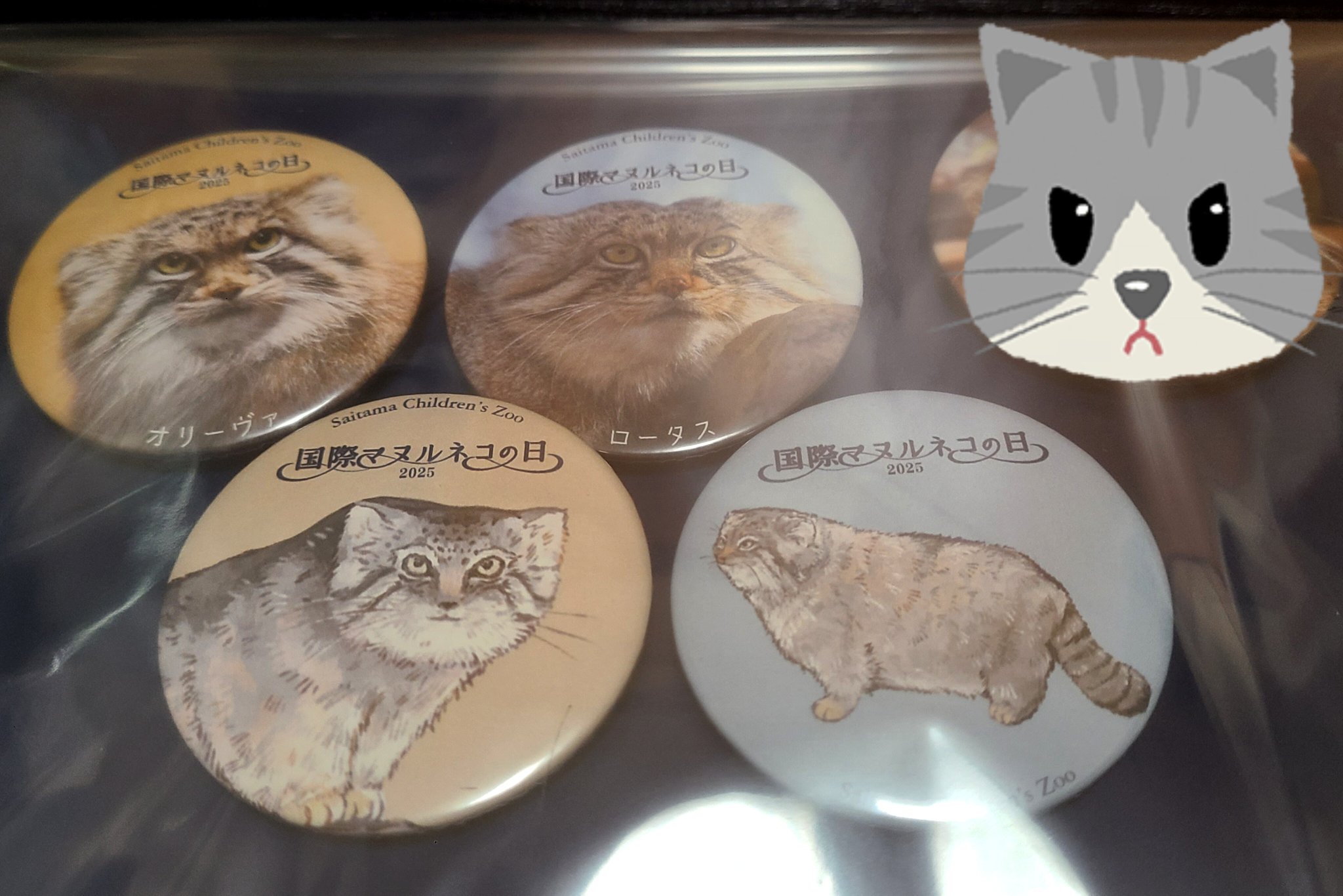 【限定】2025年国際マヌルネコの日缶バッジコンプリートセット 限定】2025国際マヌルネコの日缶バッジコンプリートセット