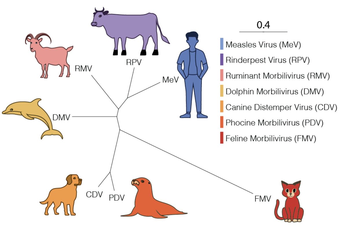 Reposting with an eye catching figure because forgot