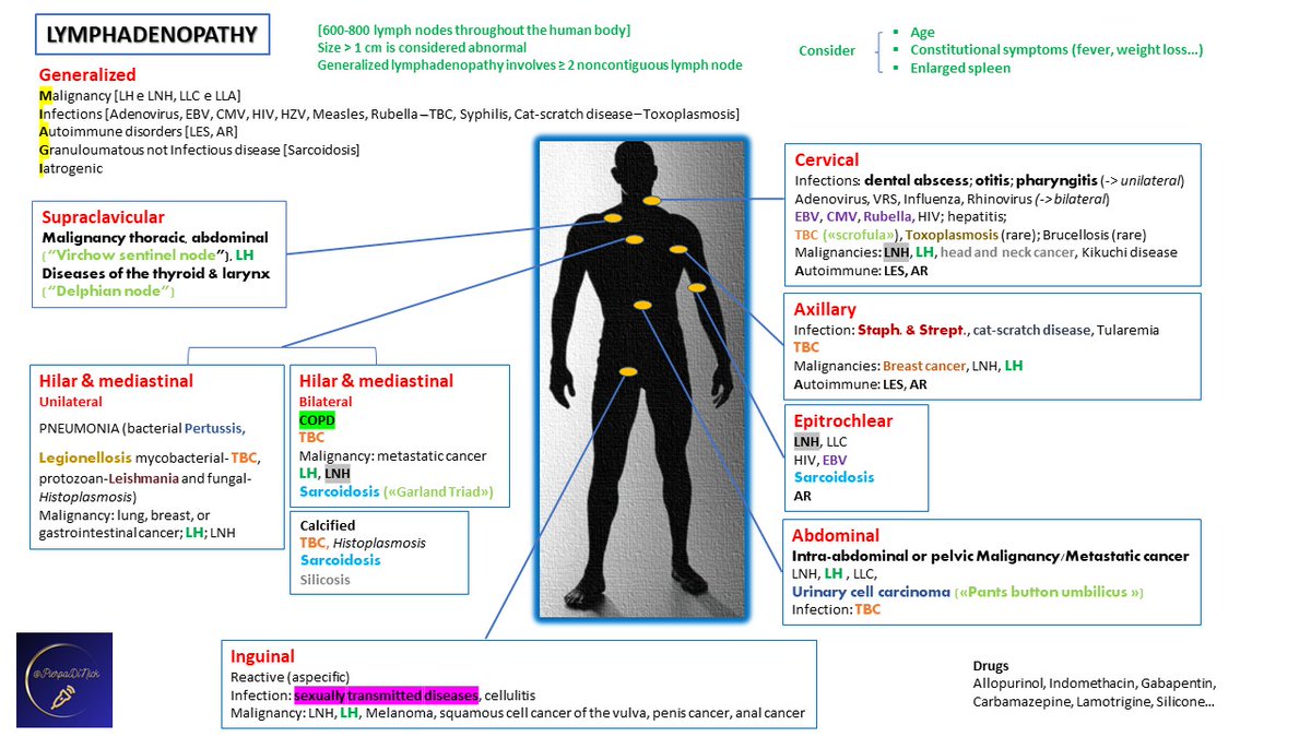 For #Medstudent #Meded #medtwitter  &amp; #Generalpractitioner 
My scheme for a logical approach to #Lymphadenopathy
