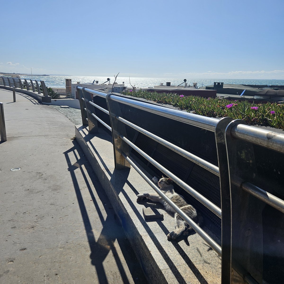 Alighafir2's tweet photo. Boulevard de la Corniche, Casablanca🇲🇦 https://t.co/kkS4dRsIA5