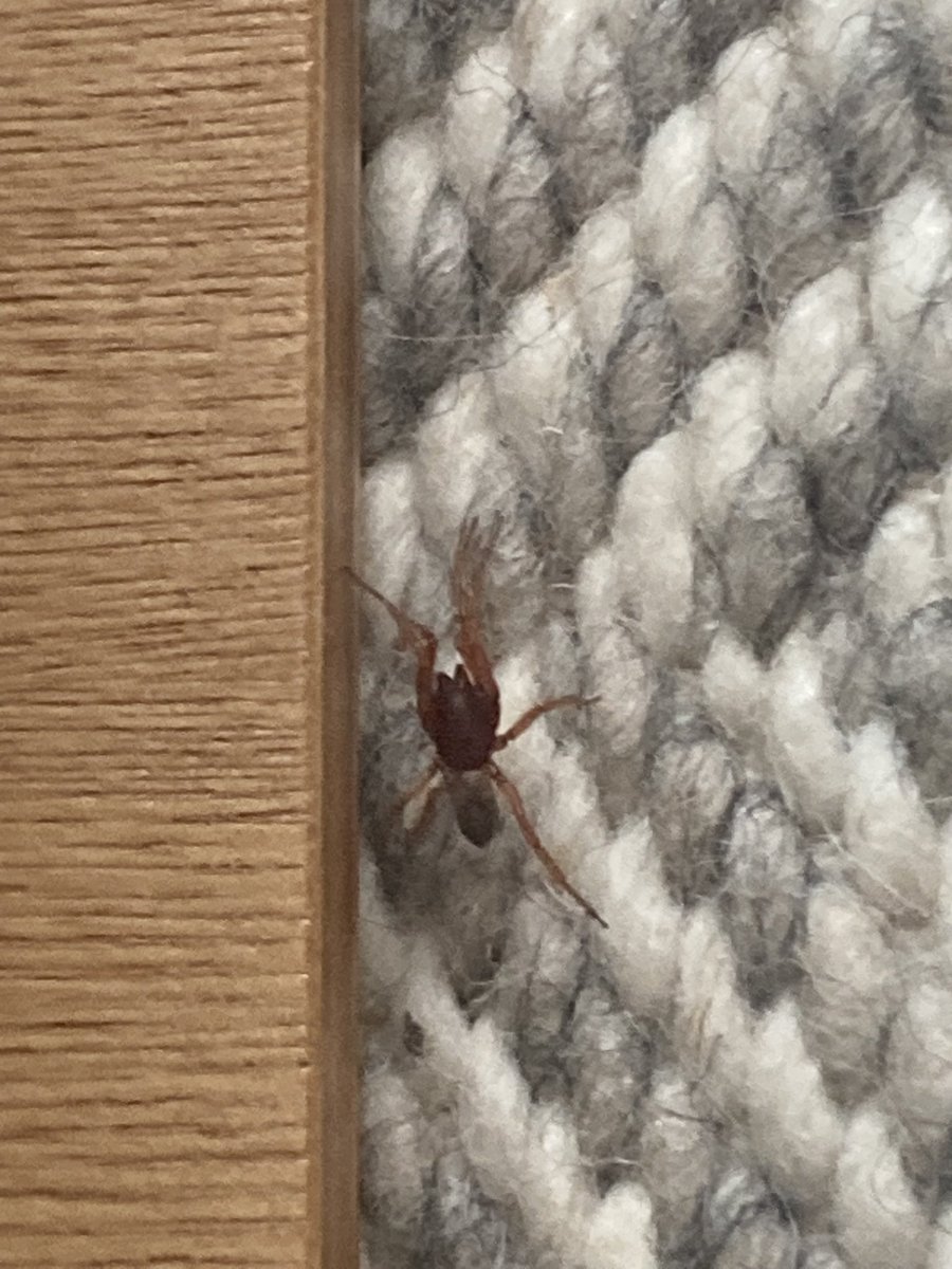 Buongiorno <a href="/Nicola_Bressi/">Nicola Bressi</a> dopo averti tanto letto tocca a me.