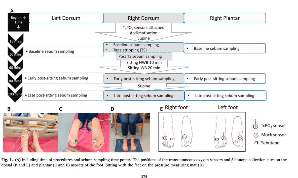 DGArmstrong's tweet image. Evaluating the effects of sedentary behaviour on plantar skin health in people with diabetes – DF Blog diabeticfootonline.com/2021/08/22/eva…