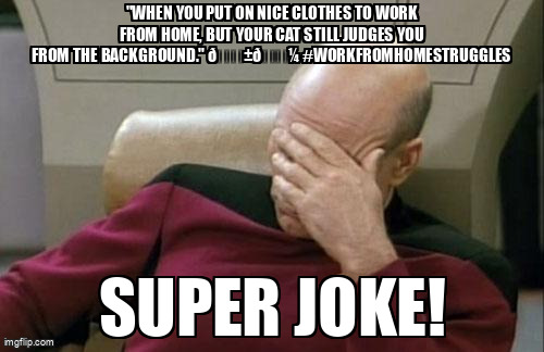 StudiosClancy's tweet image. 🤣 #Laugh out loud with this one! 🤣

"When you put on nice clothes to work from home, but your cat still judges you from the background." 🐱💼 #WorkFromHomeStruggles