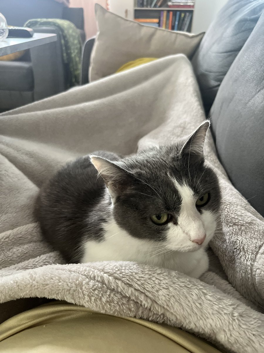 Adam Bridges tweet media