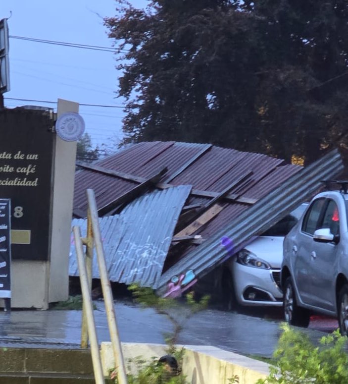 🔴LO ÚLTIMO | Cerco de latas cayó sobre vehículos estacionados en la calle Oettinger del sector Isla Teja en Valdivia

#LosRios #ValdiviaCL