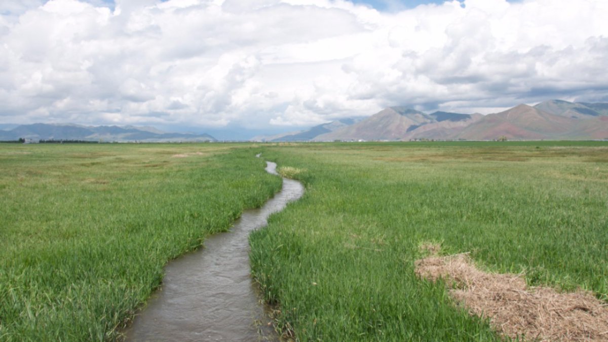 The American Farm Bureau Federation urged the Trump administration and EPA Administrator Lee Zeldin to issue clearer regulatory guidance on the revised WOTUS rule, following the Supreme Court’s Sackett v. EPA decision that significantly narrowed federal jurisdiction under the