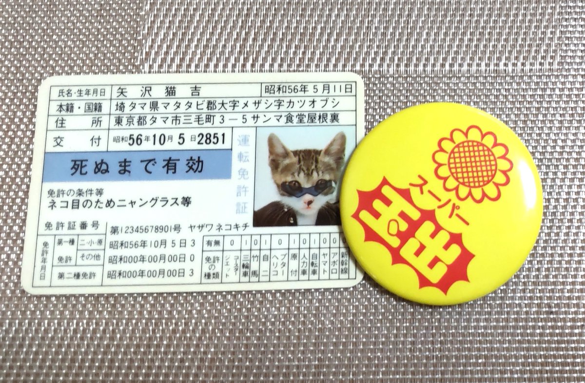 おは玉出ございます🌈🌻 本日4月29日は「#昭和の日」 と言うことで、昭和をどーぞ🐱 今日もわくわくでいきましょう✨