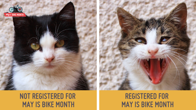 sacstateutaps's tweet photo. Hey Hornets! 

Let's ride! 

Celebrate sustainable and active transportation by registering for #MayIsBikeMonth and you could contribute to making the Sacramento Region a better place to ride! https://t.co/xpdgiY1vwL https://t.co/5CuZLimr50