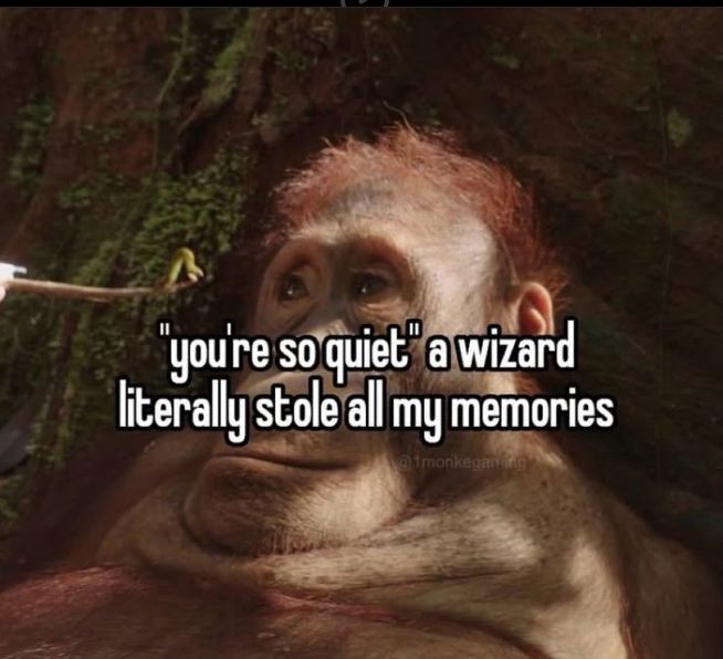 🕐HOURLY🕑 shitpost tweet media