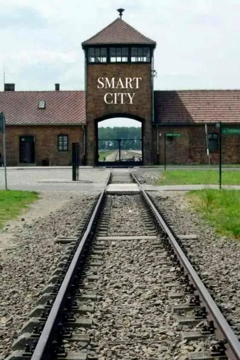 Dr. Anne Mc Closkey tweet media