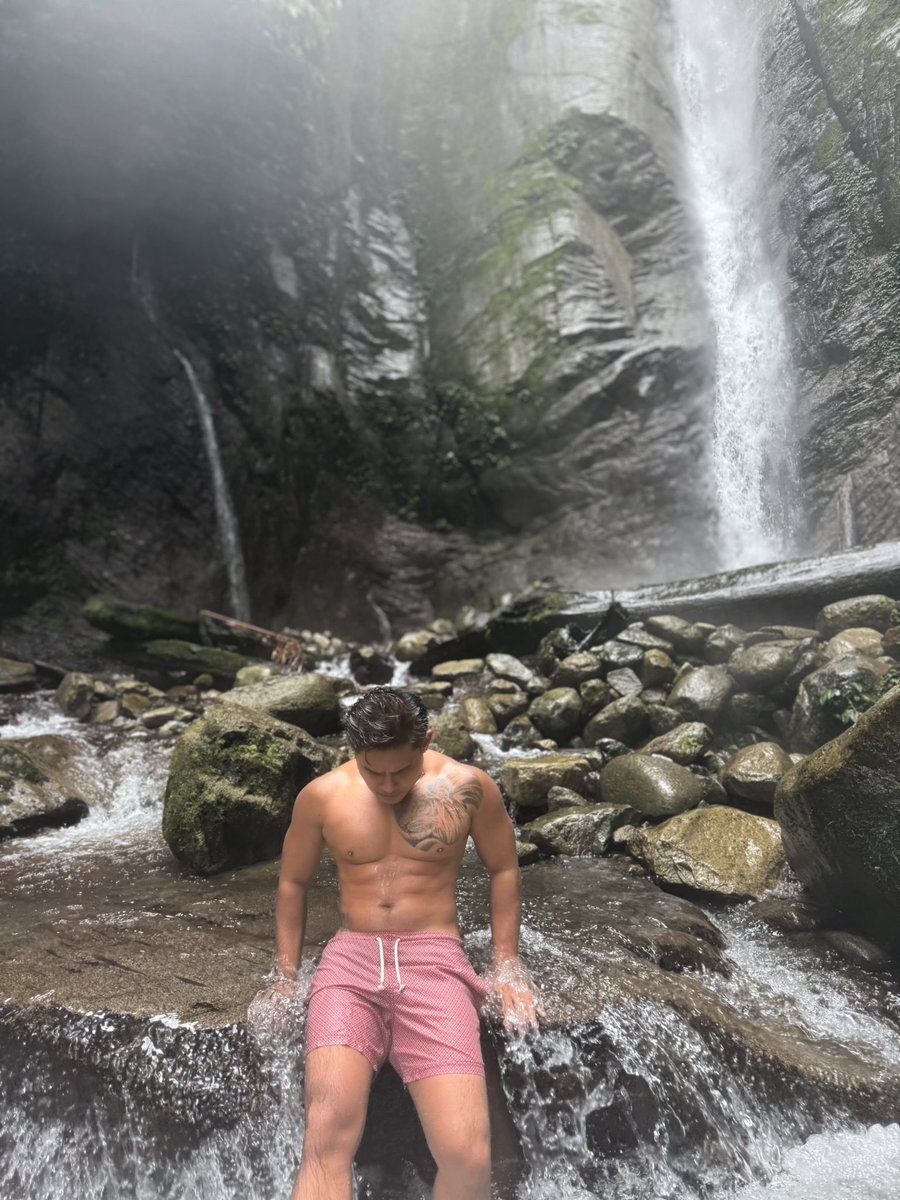 Greg 🦁 (@grghnrs) / Posts / X