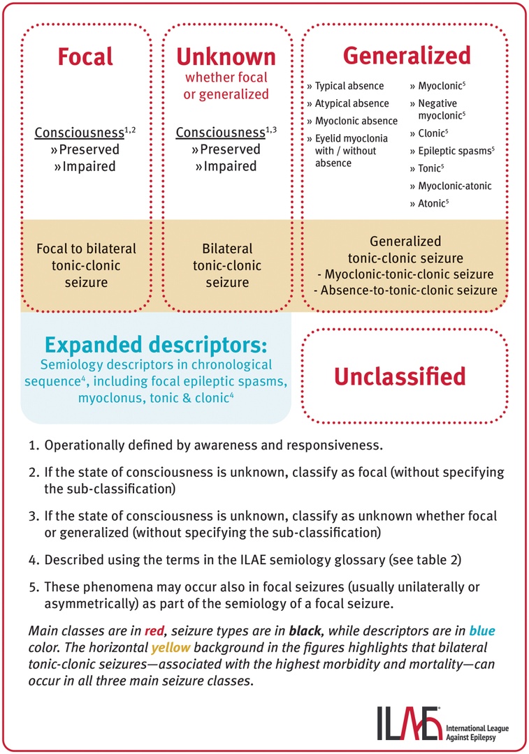 Updated classification of epileptic seizures: Position paper of the International League Against Epilepsy

CCR Journal Watch - tracking the critical care literature daily
criticalcarereviews.com/latest-evidenc…