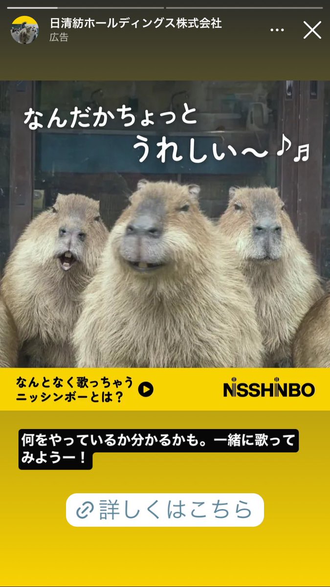 capyyomogi's tweet image. 