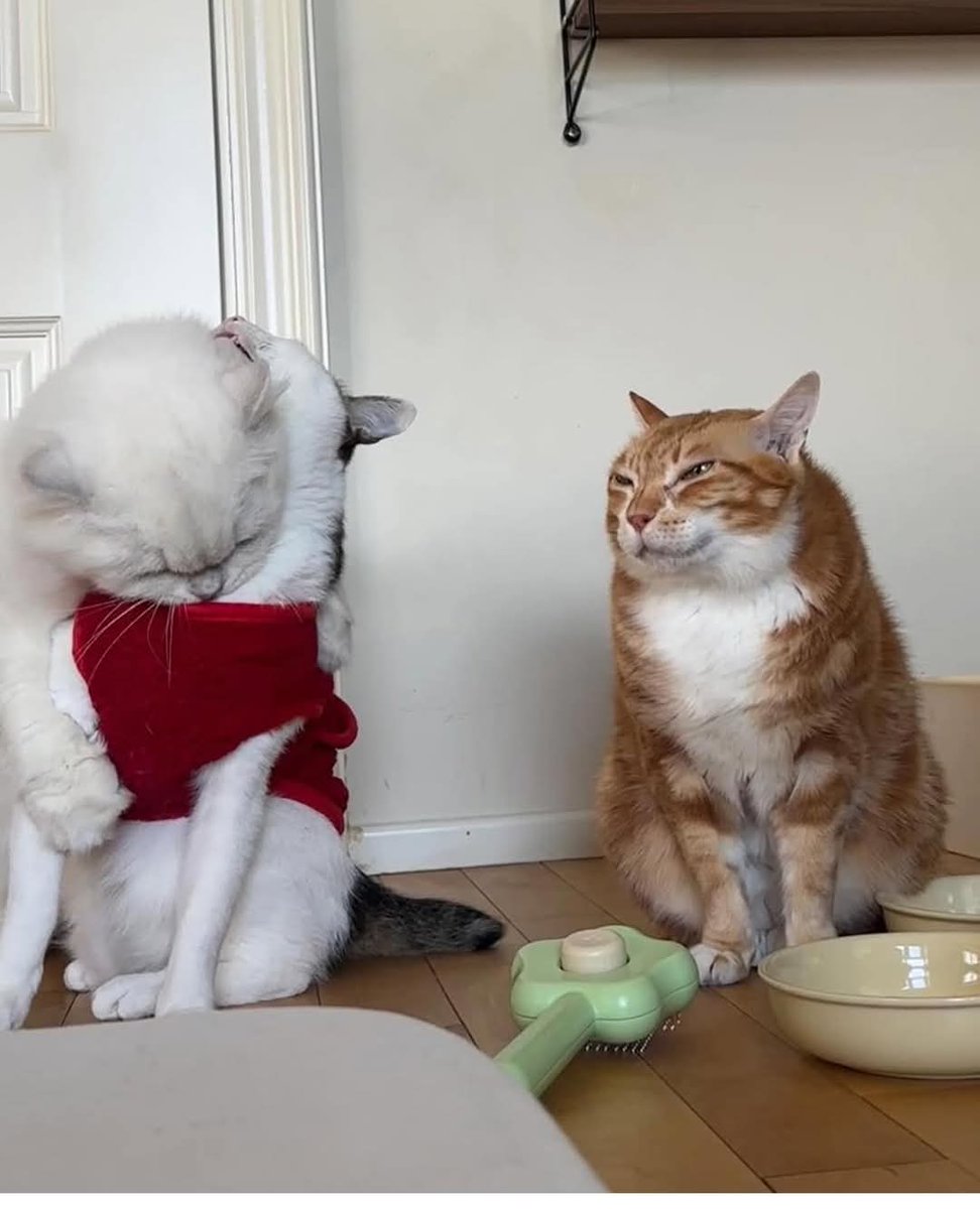 Zeba2258's tweet image. Look at you with someone... #socideveloper_com