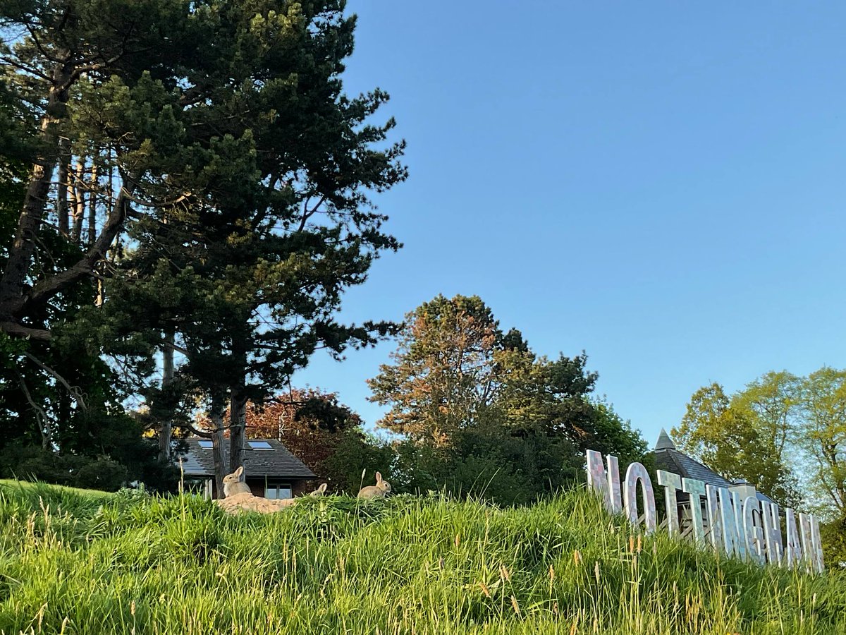 Gallery 47 tweet media