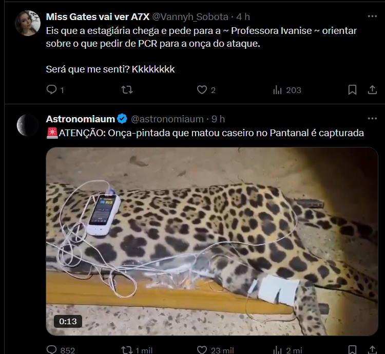 Gustavoo tweet media