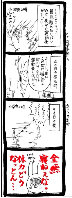 【猫】体力無限 