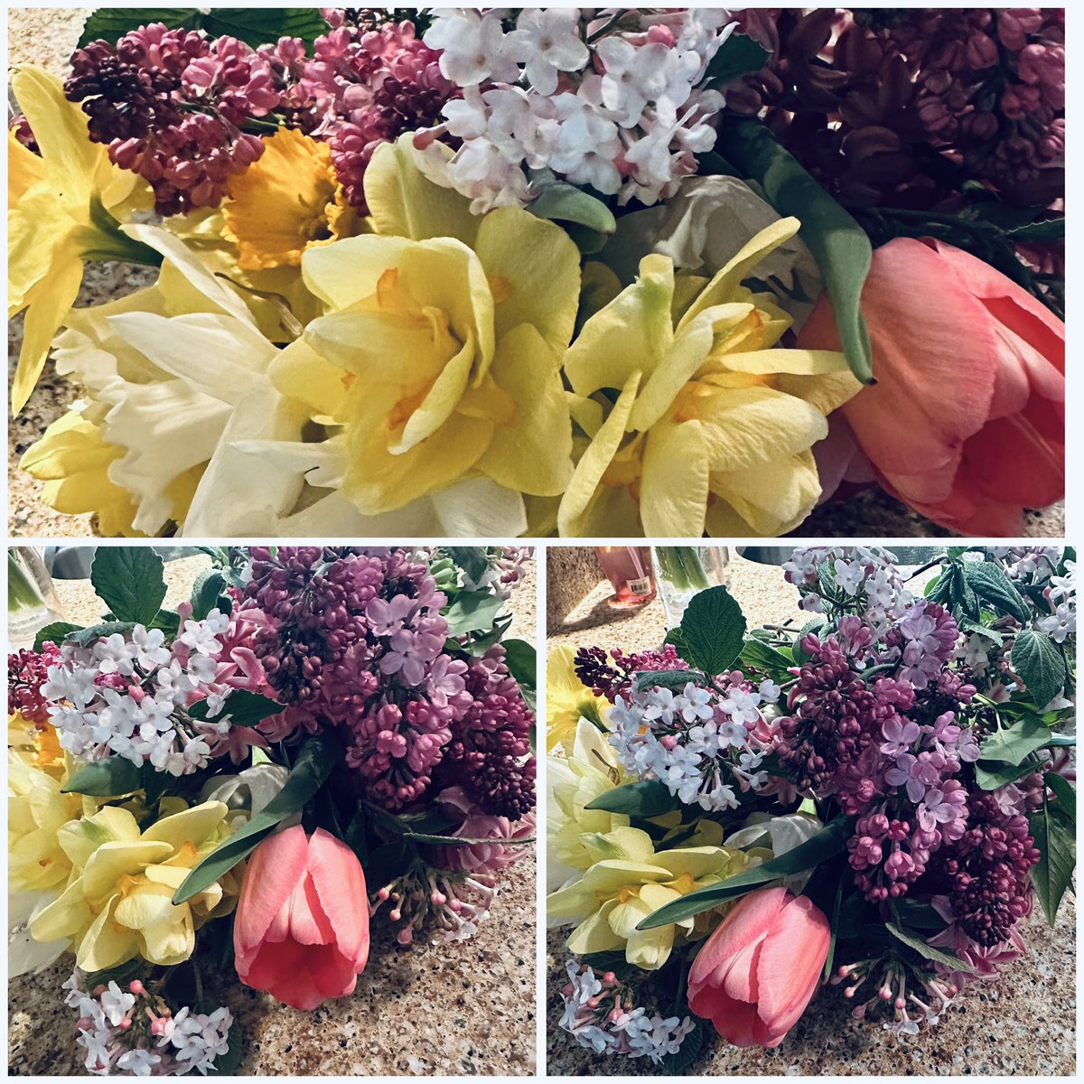 TactQueen's tweet image. Flowers in Bloom💜