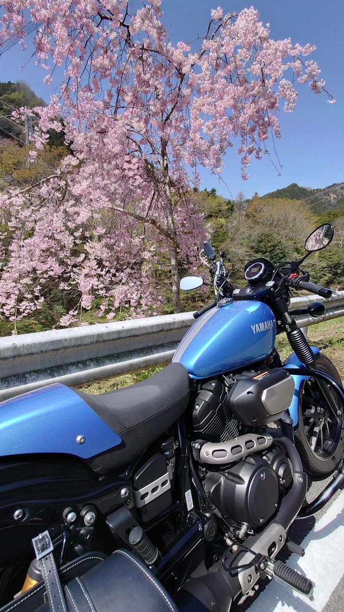 Chikasan_36's tweet photo. #セパハンを摂取させてくれ
#BOLTCspec
過去pic. https://t.co/3mgLhV67mj