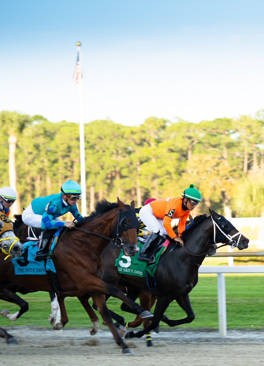 MorplayRacing's tweet photo. #TBT to when No More Time took the Sam F. Davis Stakes wire to wire 🏇💨
A $40K yearling with a whole lotta heart—this win put us on the Derby trail and gave us memories that’ll last forever.
#NoMoreTime #SamFDavis #MorplayRacing #DerbyTrail #HorseRacing #ThrowbackThursday https://t.co/plXGRups4C