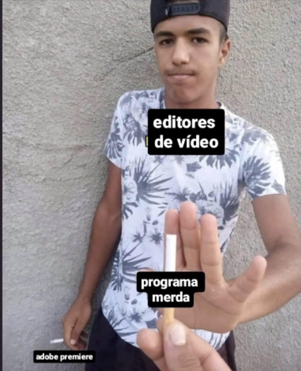 sidy 📹🌱 (@thevideoseed) on Twitter photo 