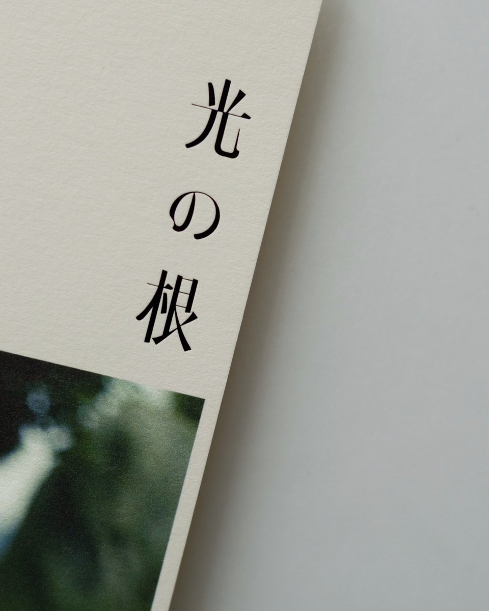 vonvonbe's tweet photo. 岩橋優花さんの展示「光の根」のDMをデザインしました。 https://t.co/BISCetsuHu
