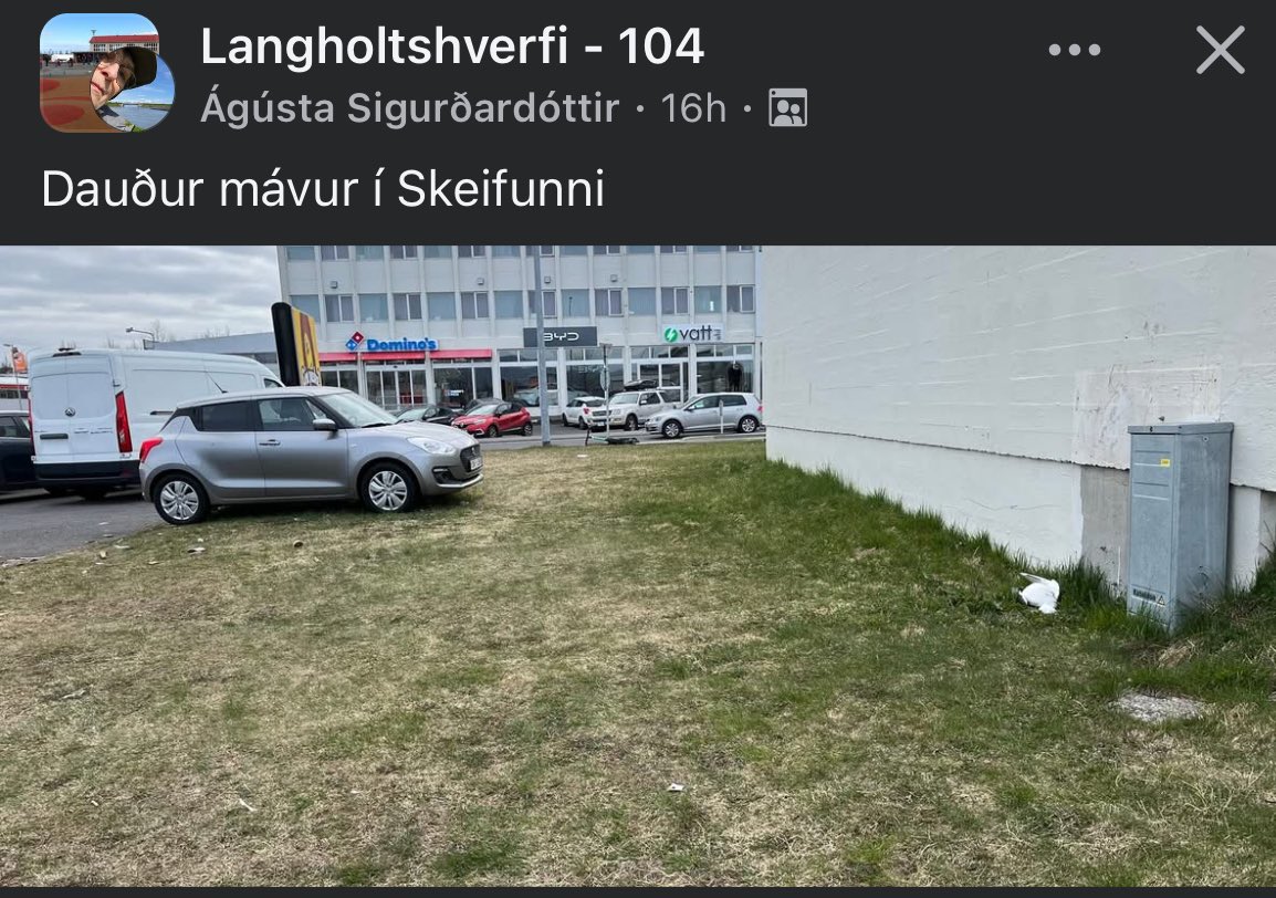 AI_nar Baldvin Arason tweet media