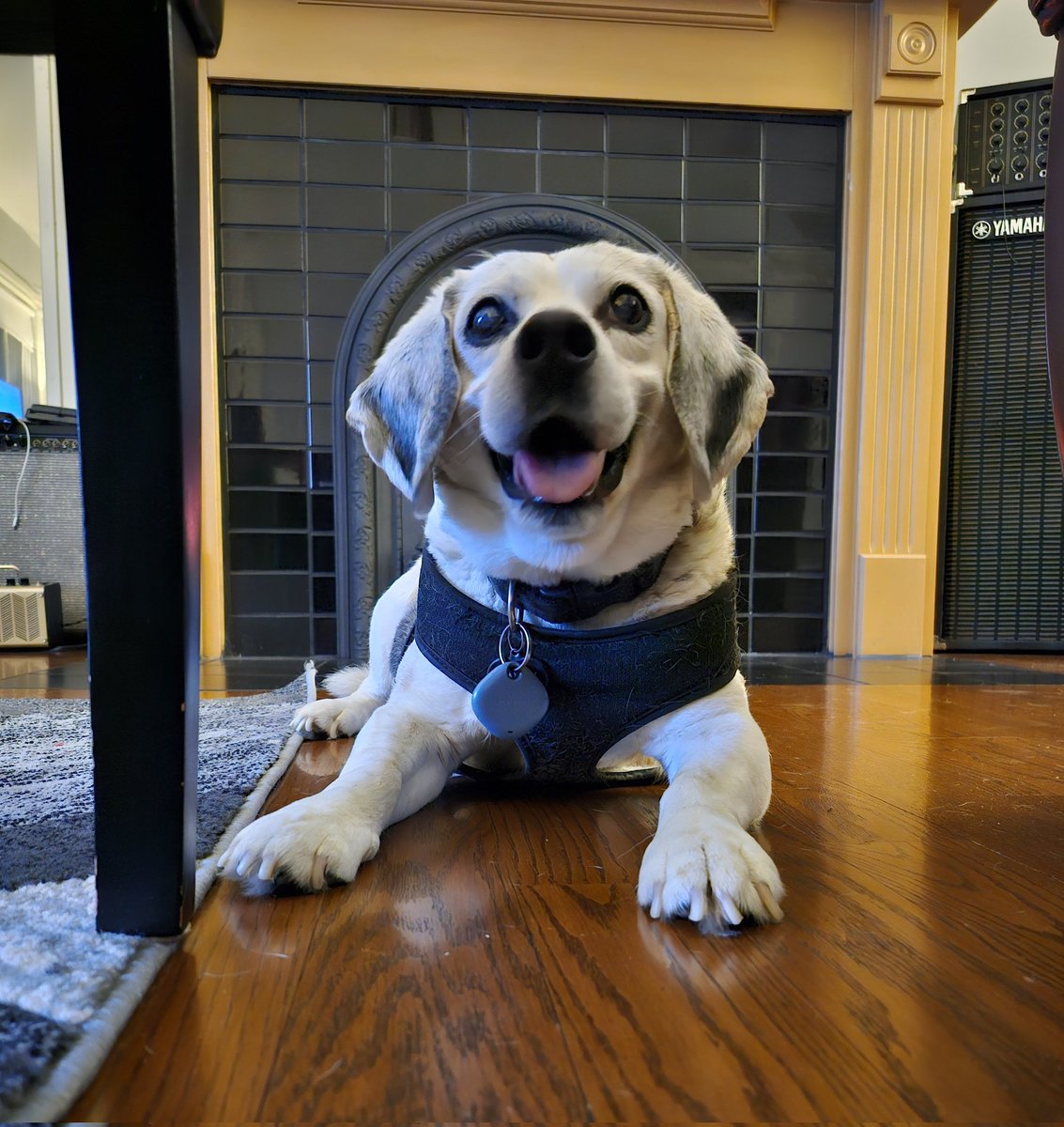 Sir Stanley Zbornak tweet media