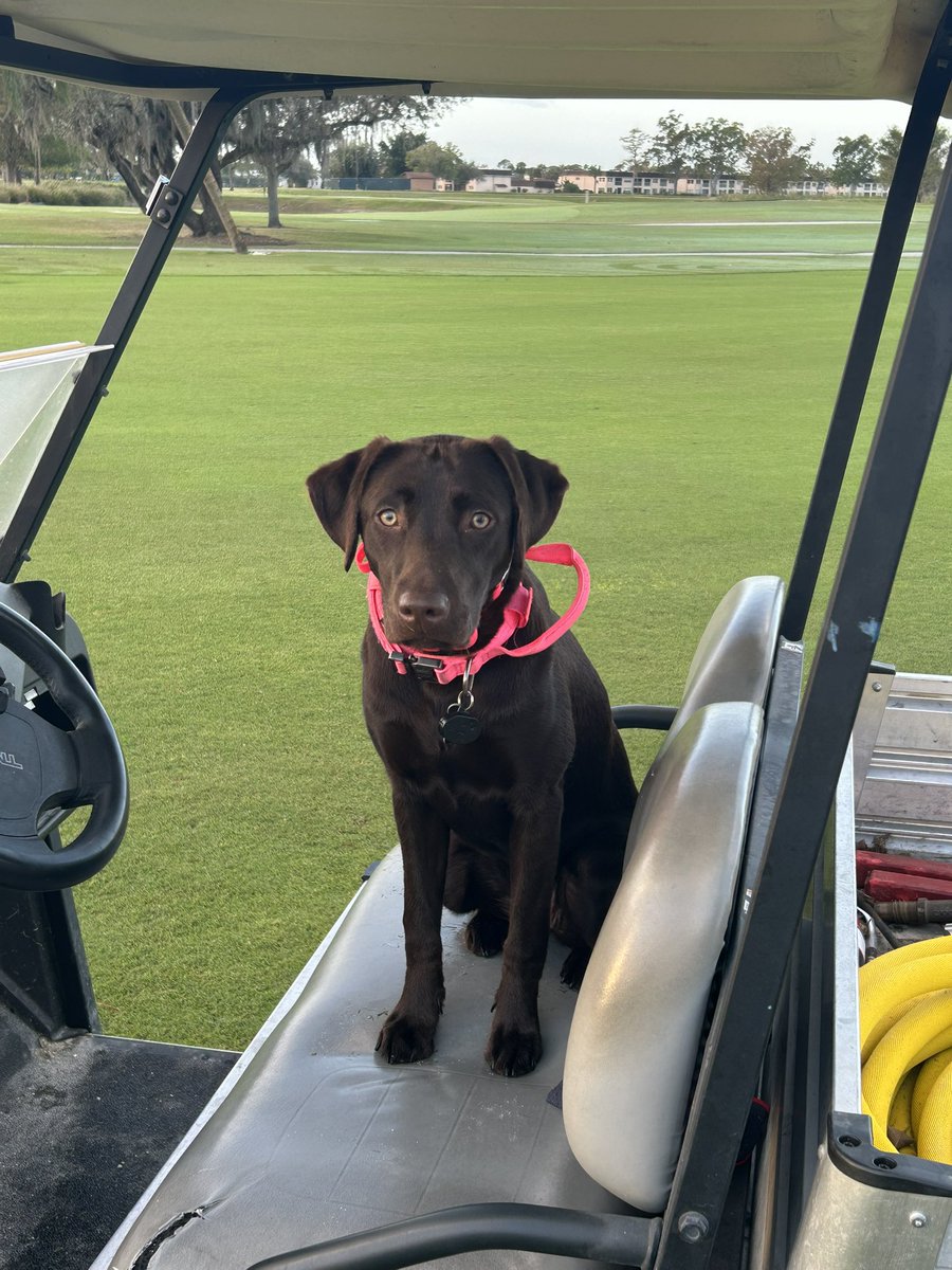 Dave Ferrin tweet media