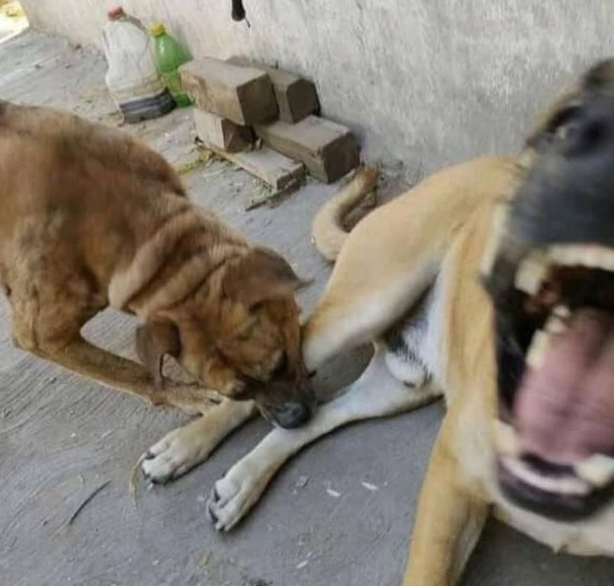 EASTPACKMAN tweet media