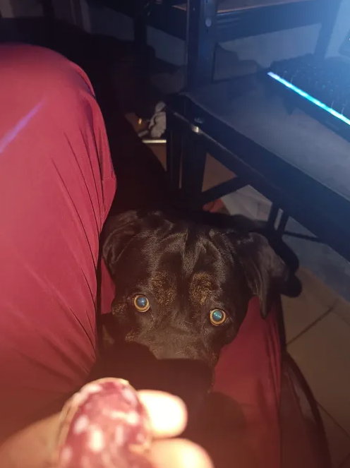 EASTPACKMAN tweet media