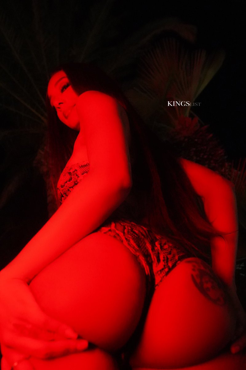 Book your next shoot today 👑📸