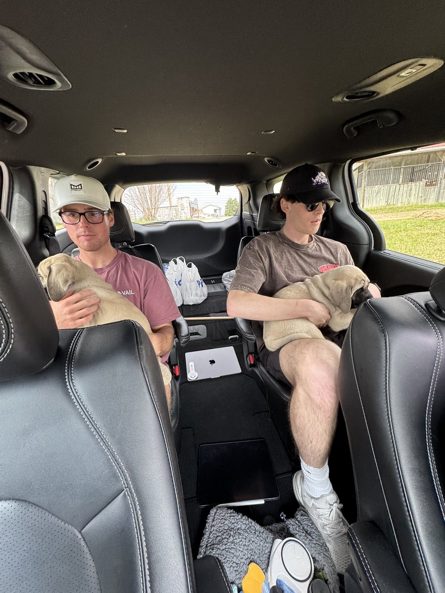 Layne Gentry Martin tweet media