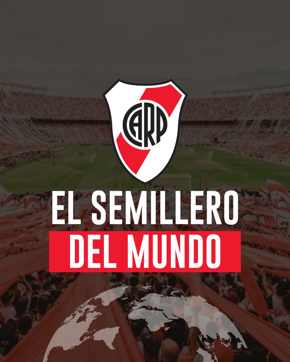 Stefano Di Carlo tweet media