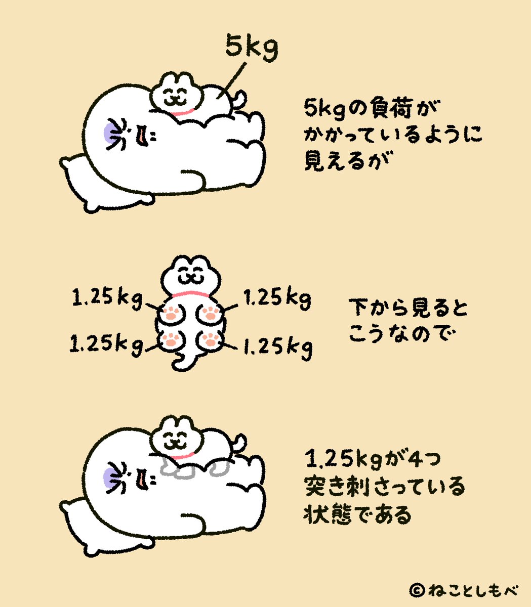 常葉ひより@vtuber (@Hiyori_tokiwa) / X 常葉ひより@vtuber (@Hiyori_tokiwa) / X